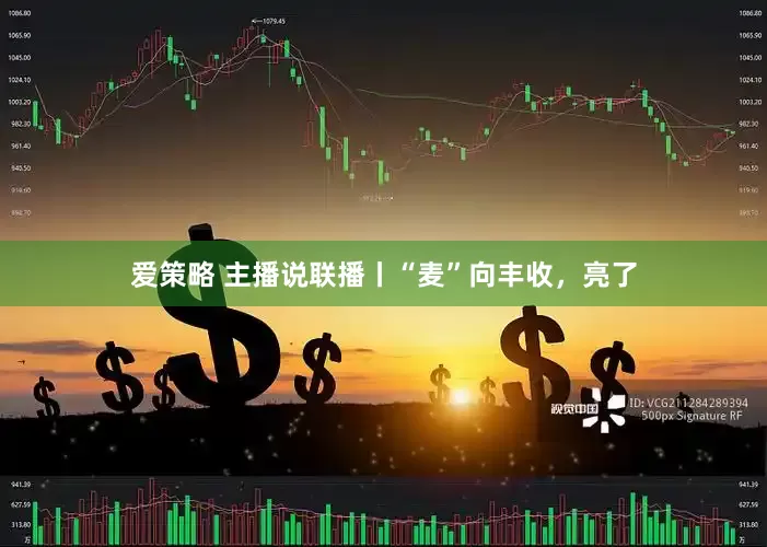 爱策略 主播说联播丨“麦”向丰收，亮了