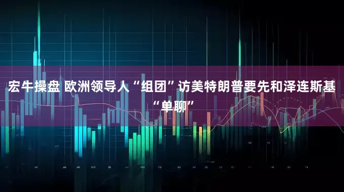 宏牛操盘 欧洲领导人“组团”访美　特朗普要先和泽连斯基“单聊”