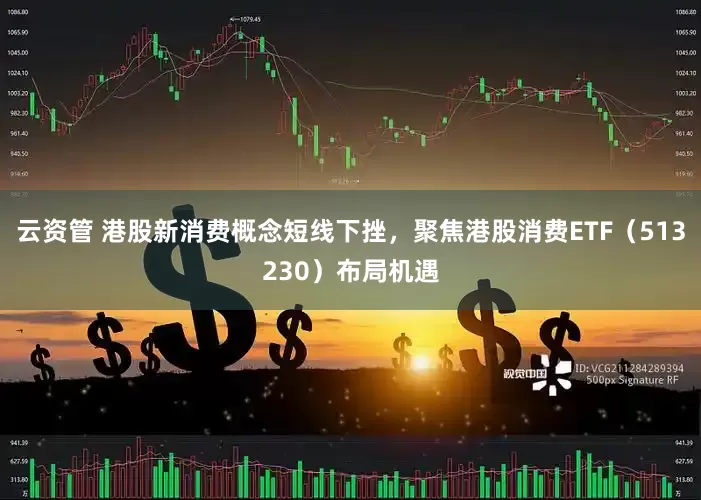 云资管 港股新消费概念短线下挫，聚焦港股消费ETF（513230）布局机遇