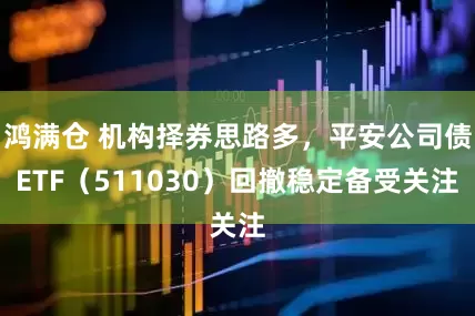 鸿满仓 机构择券思路多，平安公司债ETF（511030）回撤稳定备受关注