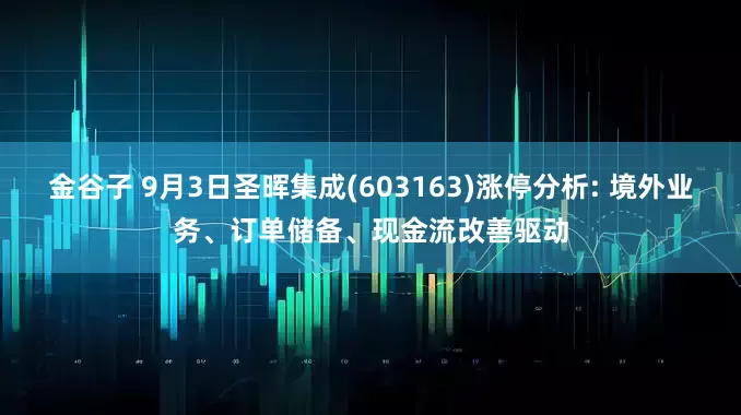 金谷子 9月3日圣晖集成(603163)涨停分析: 境外业务、订单储备、现金流改善驱动