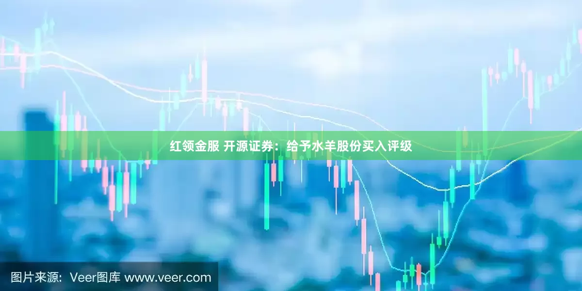 红领金服 开源证券:给予水羊股份买入评级